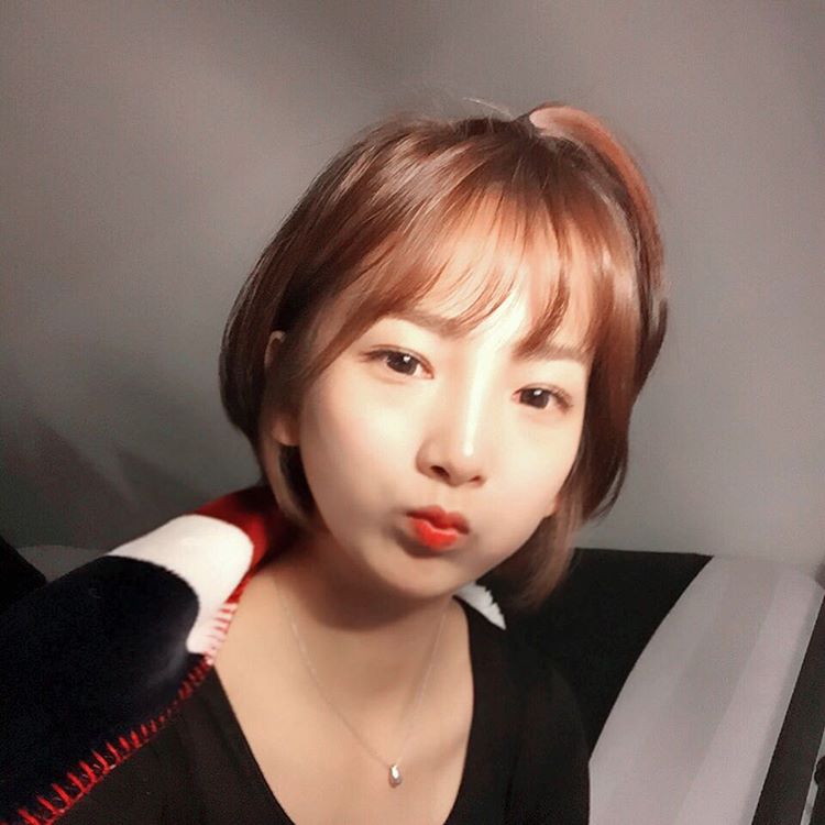 可愛い 韓国女子定番の髪型 사과머리 りんごヘアー をご紹介