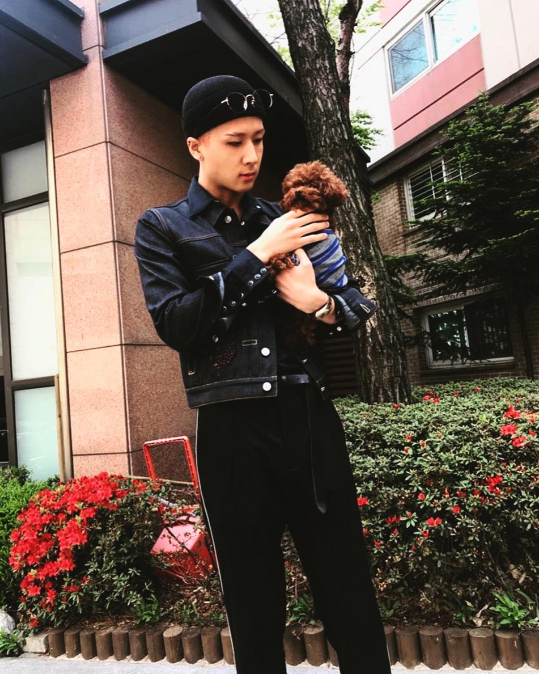 韓国情報サイト 모으다 モウダ